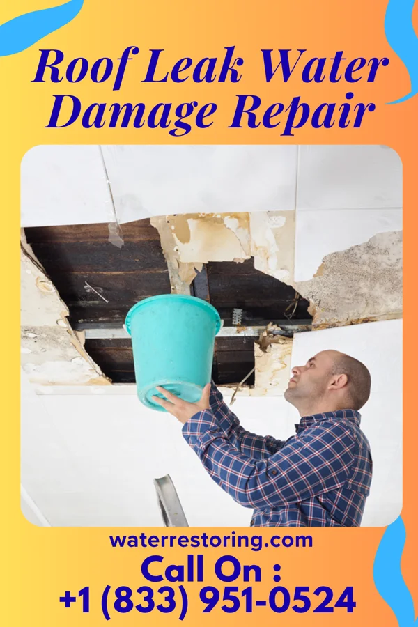 Roof Leak Water Damage Repair in Ransom Canyon, TX